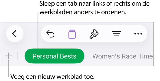 De tabbladbalk voor het toevoegen van een nieuw werkblad, navigeren en het opnieuw ordenen van werkbladen.