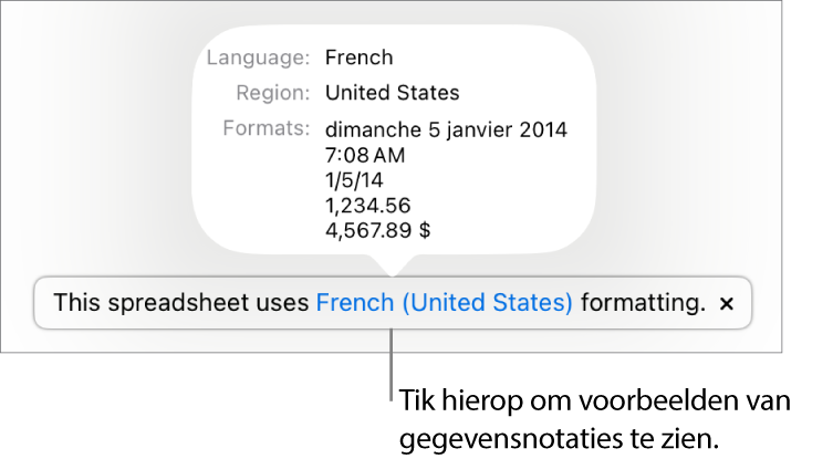 De melding van de afwijkende taal en regio, met voorbeelden van de opmaak in die taal en voor die regio.