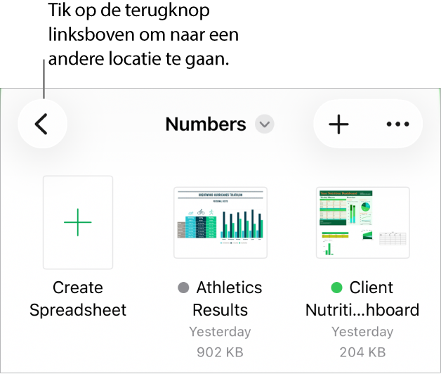 De bladerweergave van de documentweergave met linksboven een link naar andere locaties en daaronder een zoekveld. Rechtsboven staan de knop voor een nieuwe spreadsheet en de knop 'Meer'. Onder in het scherm staan de knoppen 'Recent' en 'Blader'.