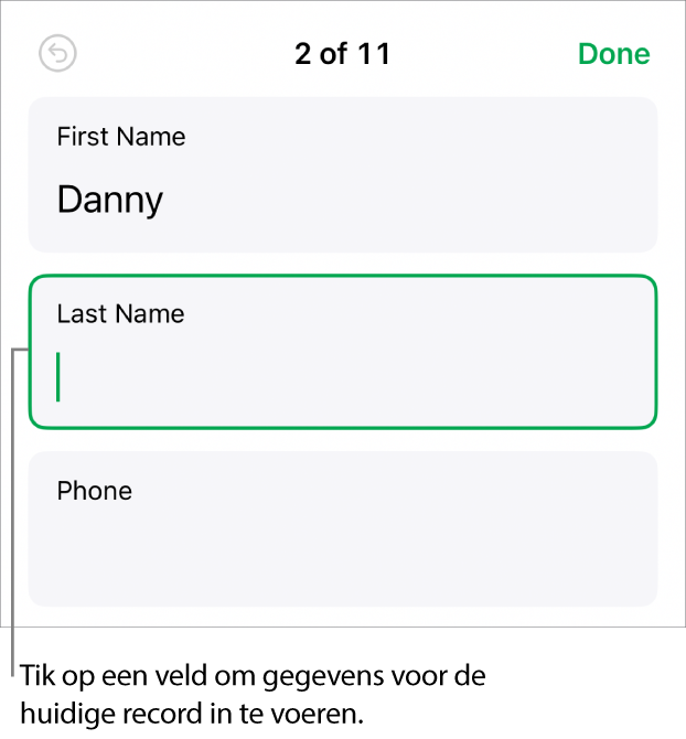Een record in een formulier met het invoegpunt in een geselecteerd veld.