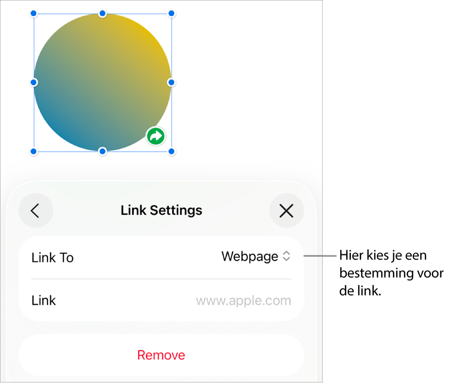 De regelaars voor linkinstellingen. 'Webpagina' is geselecteerd en onderaan staat de knop 'Verwijder'.