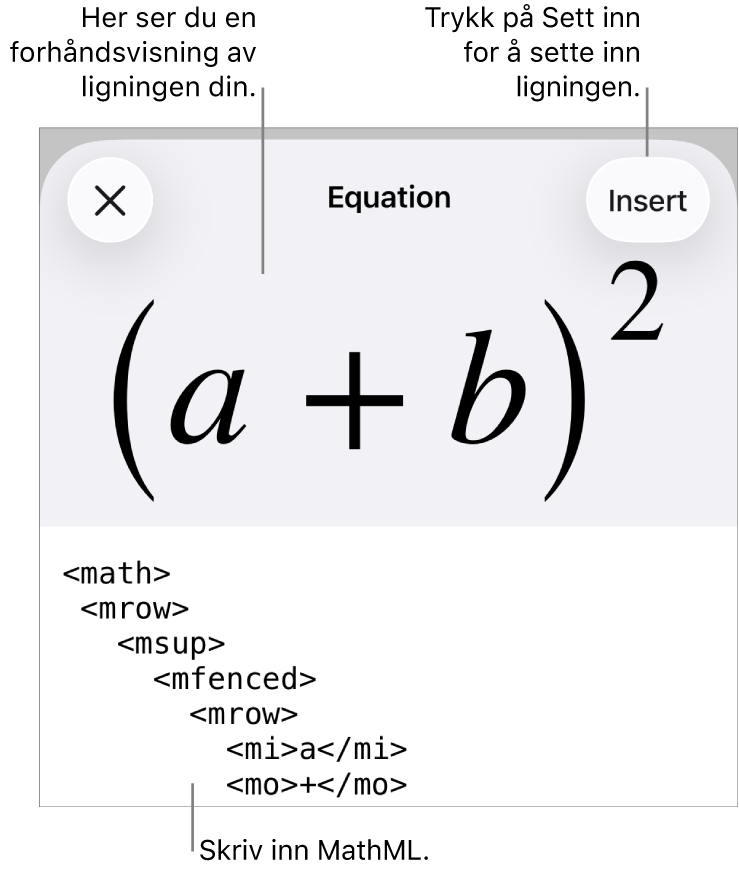 Ligning-dialogruten, som viser en formel skrevet med MathML-kommandoer, og en forhåndsvisning av formelen ovenfor.