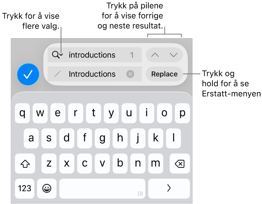 Søk og erstatt-kontrollene over tastaturet med bildebeskrivelser for knappene for Søkealternativer, Erstatt, Gå opp og Gå ned.