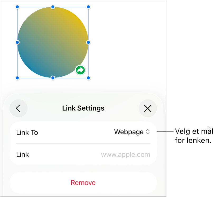 Lenkeinnstillinger-kontrollene med Nettside markert og Fjern-knappen nederst.