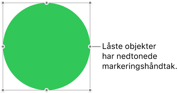 Et låst objekt med nedtonede markeringshåndtak.