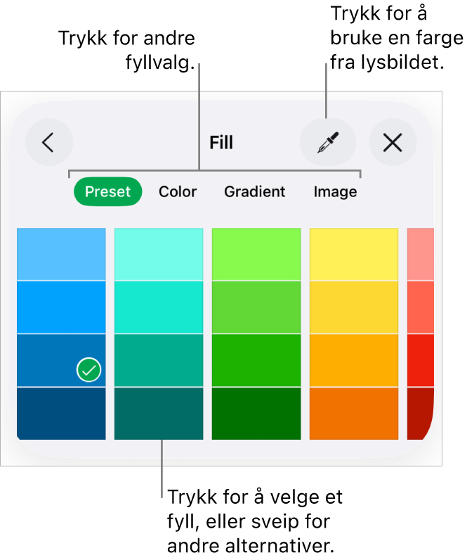 Fyllalternativer i Stil-fanen for Format-knappen.