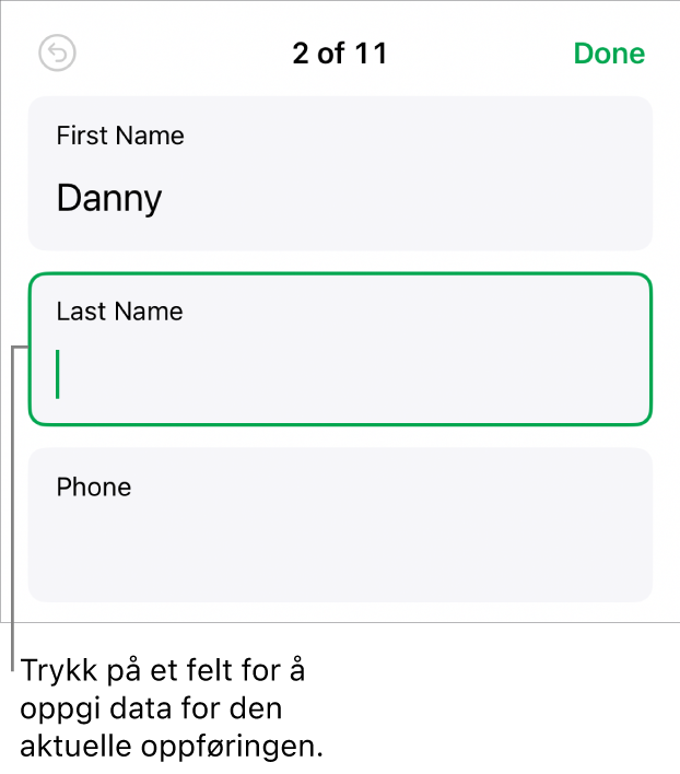 En oppføring i et skjema som viser et aktivt felt med et innsettingspunkt.