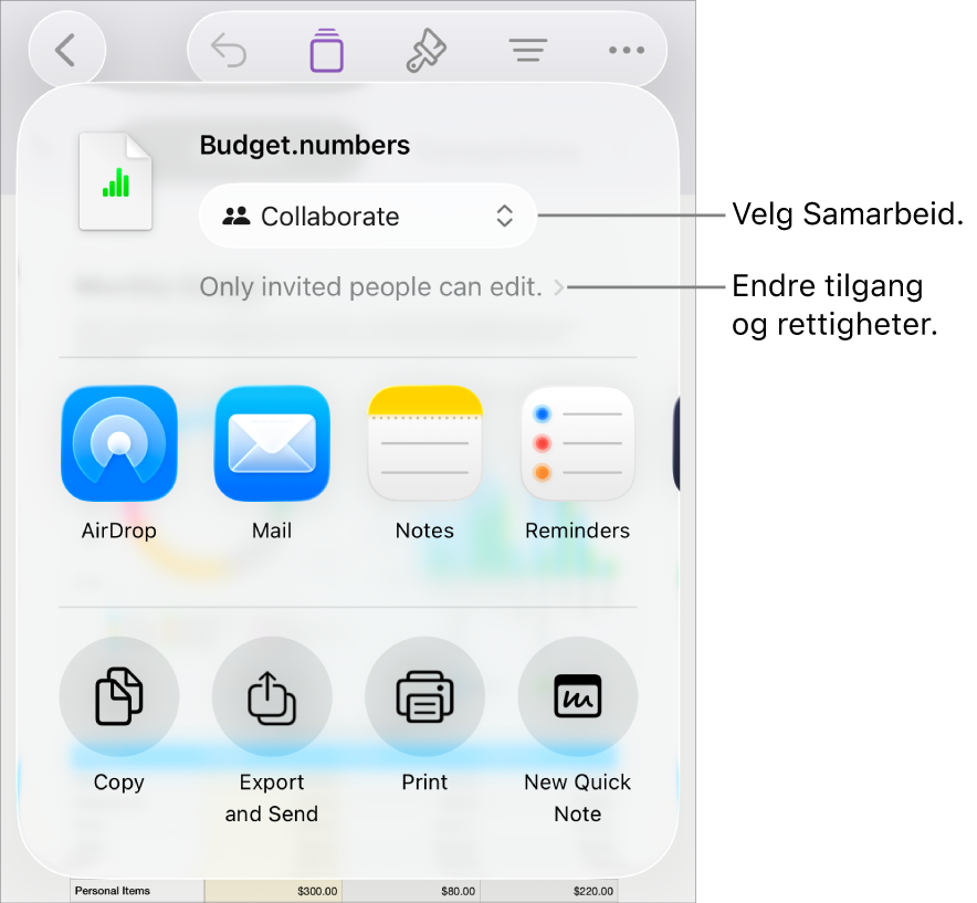 Del-menyen med Samarbeid markert øverst, og tilgangs- og tillatelsesinnstillingene under.