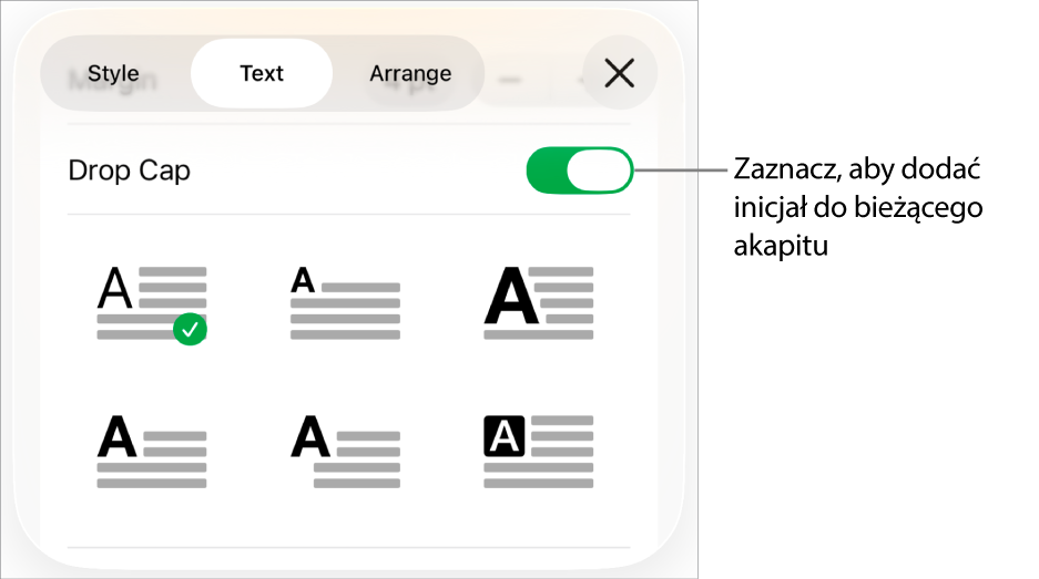 Narzędzia inicjału znajdujące się w menu Tekst.