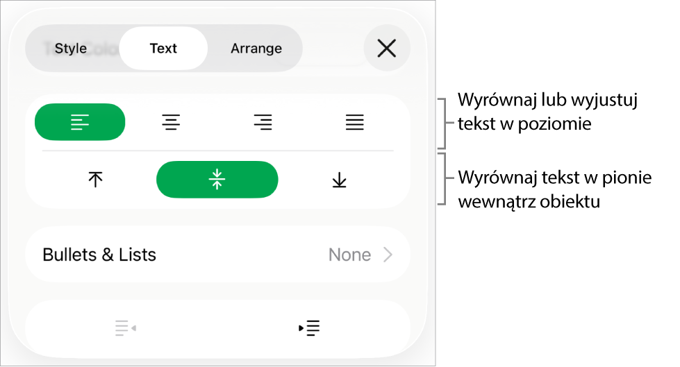 Sekcja Makieta na pasku bocznym Format z opisami wskazującymi przyciski wyrównania i odstępów tekstu.
