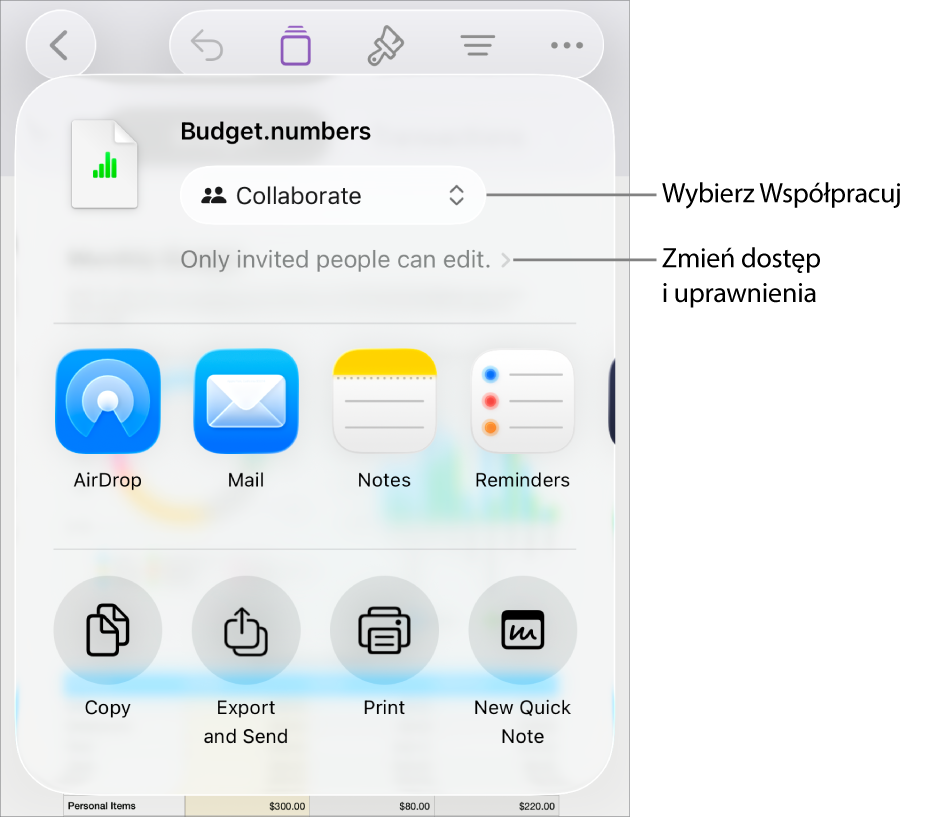 Menu udostępniania z opcją Współpracuj wybraną u góry oraz ustawieniami dostępu i uprawnień poniżej.