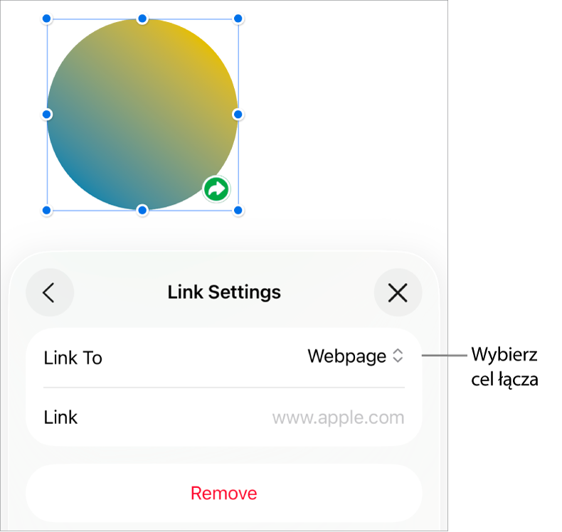 Narzędzia Ustawienia łącza; wybrane jest narzędzie Strona www; na dole znajduje się przycisk Usuń.