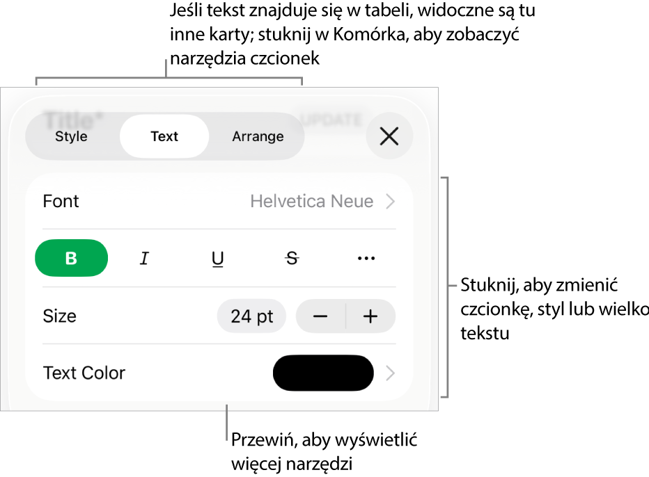 Narzędzia tekstów w menu Format służą do ustawiania stylów akapitu i znaków oraz czcionek ich wielkości i koloru.