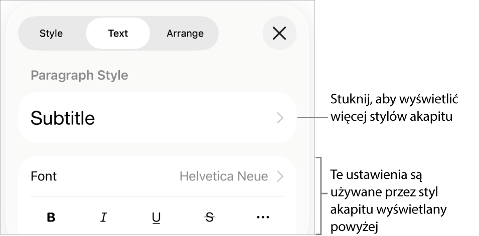 Menu Format z narzędziami tekstu pozwalającymi na ustawianie stylów akapitu, stylów znaków, czcionki, wielkości oraz koloru.