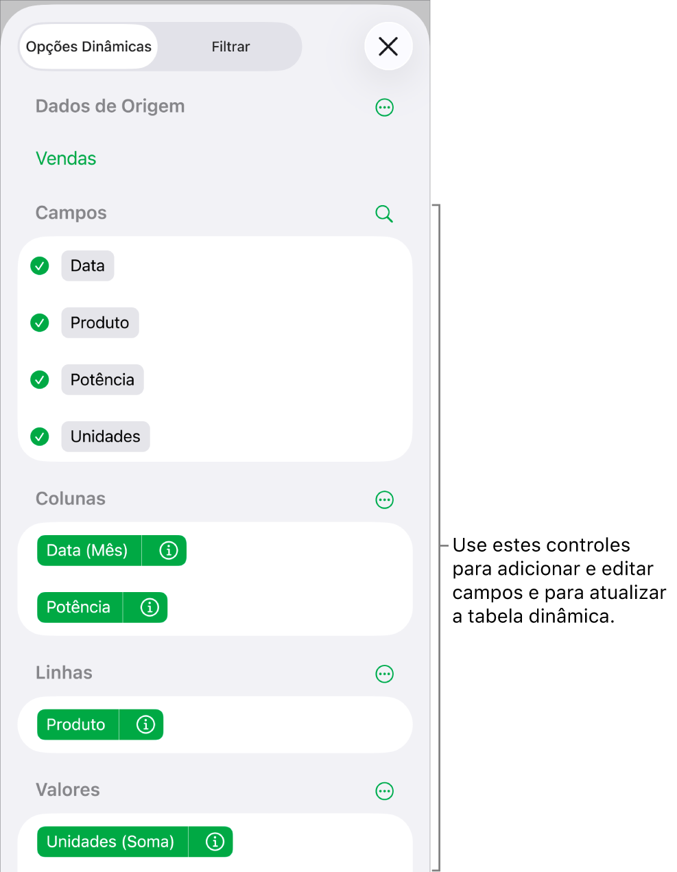 Menu Opções Dinâmicas mostrando campos das seções Colunas, Linhas e Valores, bem como controles para editar os campos.