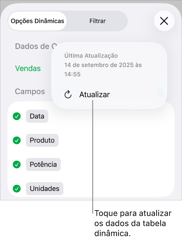 Menu Opções Dinâmicas mostrando a opção de atualizar a tabela dinâmica.