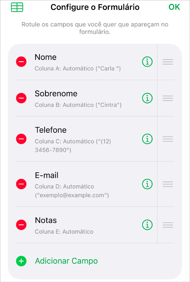 Controles de configuração de forma, mostrando opções para adicionar, editar, reordenar e apagar campos, além de alterar o formato dos campos (como de Texto para Porcentagem).