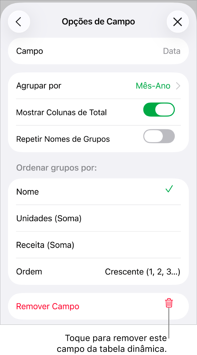O menu Opções de Campo, mostrando os controles para agrupar e classificar dados, assim como a opção de remover um campo.