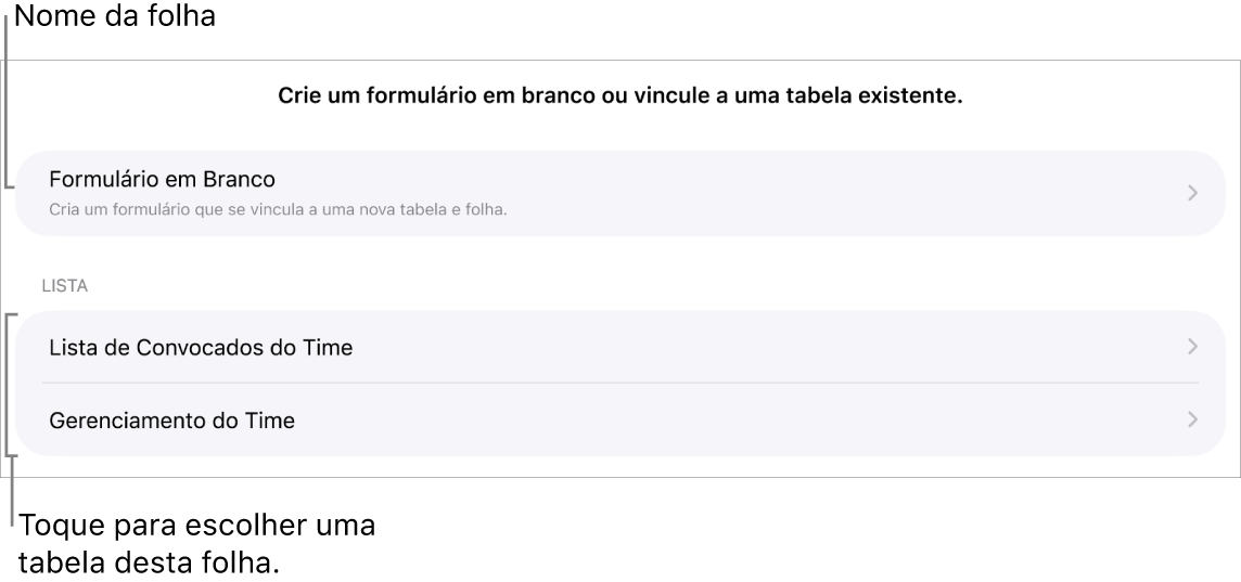 Uma lista de tabelas que estão na mesma planilha, com a opção de criar um formulário em branco na parte superior.