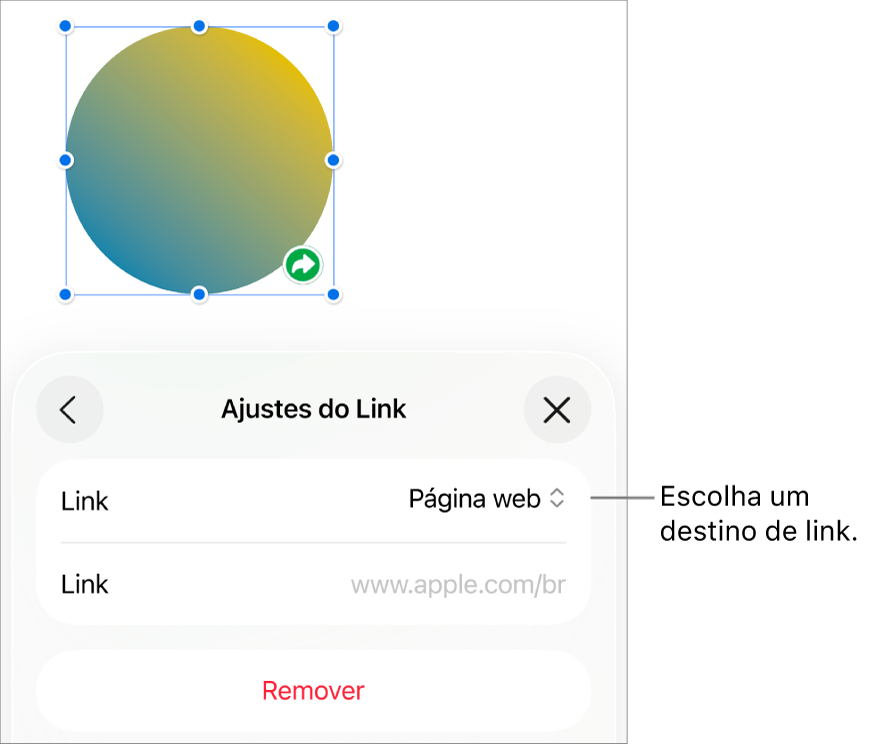 Controles de “Ajustes do Link” com Página Web selecionado e o botão Remover na parte inferior.