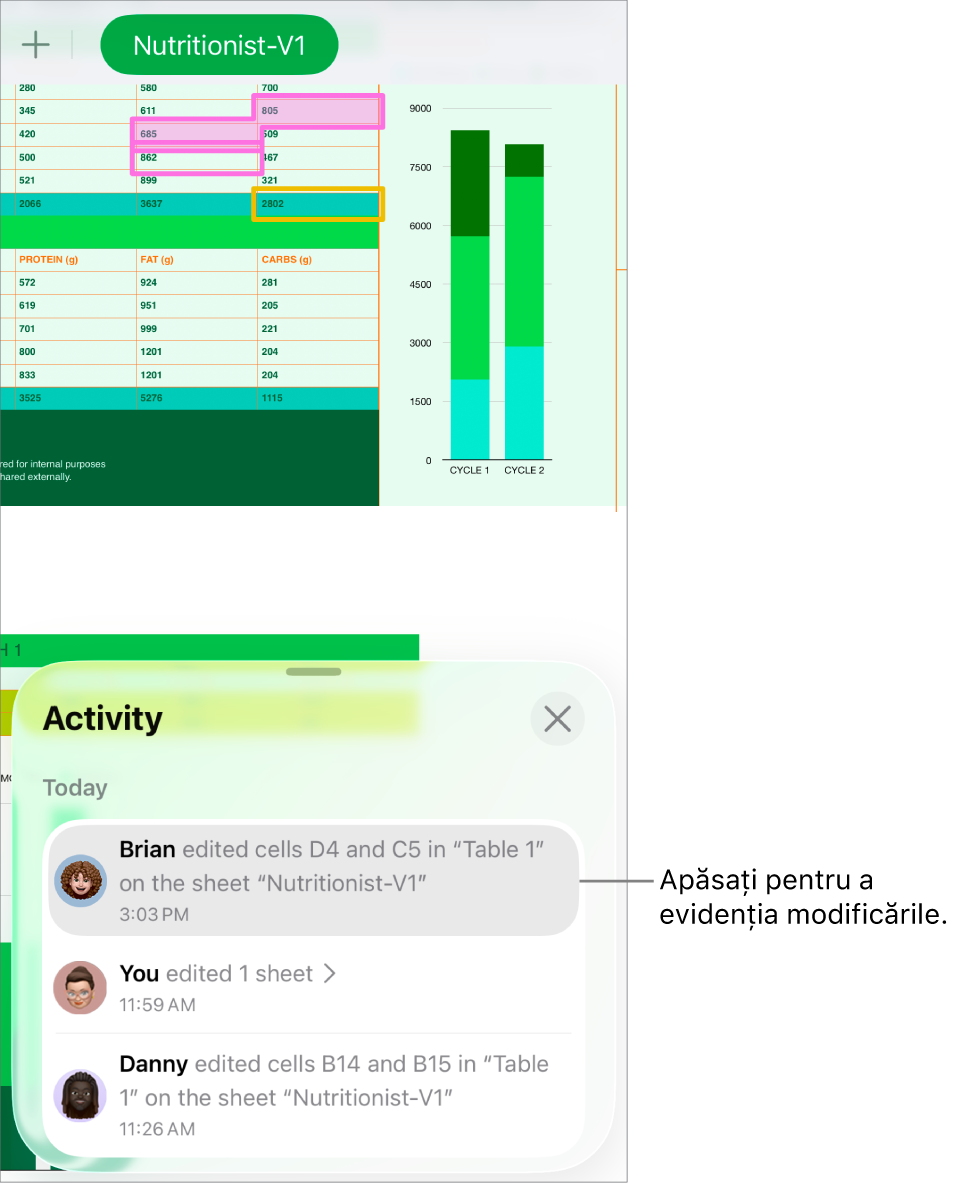 O foaie de calcul colaborativă având deschise meniul pentru colaborare și lista de activități.