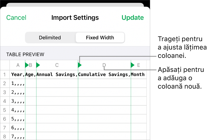 Configurările de importare pentru un fișier de text cu lățime fixă.