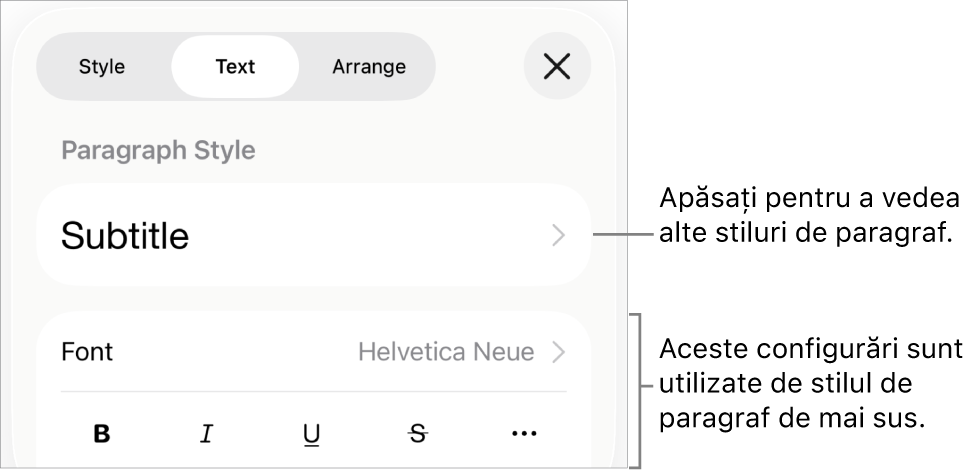 Meniul Format afișând comenzi de text pentru configurarea stilurilor, fonturilor, dimensiunii și culorii paragrafelor și caracterelor.