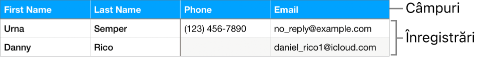 Un tabel configurat corect pentru a fi utilizat cu formulare, cu un rând de antet care include etichete de câmp și o listă de înregistrări afișând datele de contact pentru registre de echipe sportive.