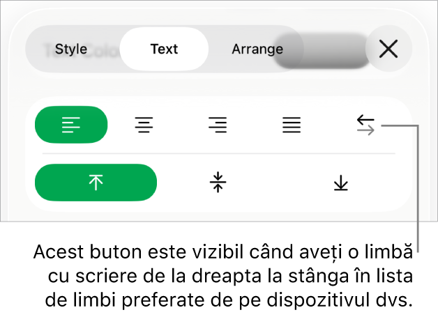 Secțiunea Stil a meniului Format cu explicații pentru butonul De la dreapta la stânga.