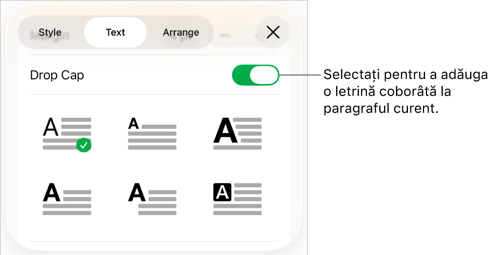 Comenzile Letrină coborâtă situate în meniul Text.