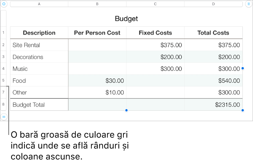 O bară gri groasă care afișează locația rândurilor și coloanelor ascunse.