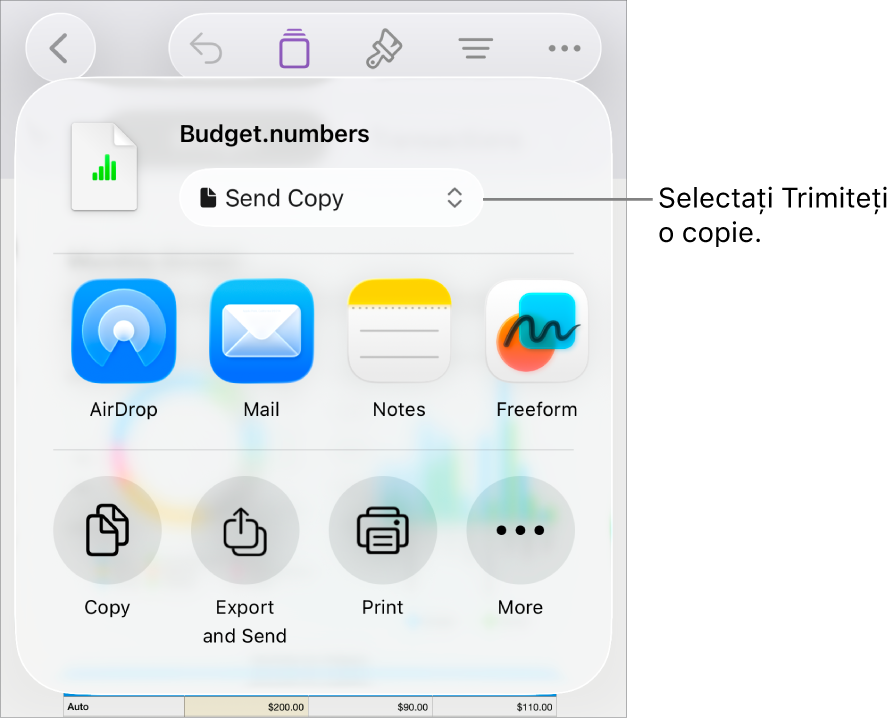 Meniul Partajează, cu opțiunea Trimite o copie selectată în partea de sus.