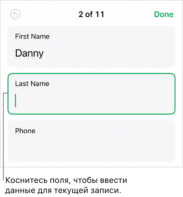Показана запись в форме. В активном поле находится точка вставки.