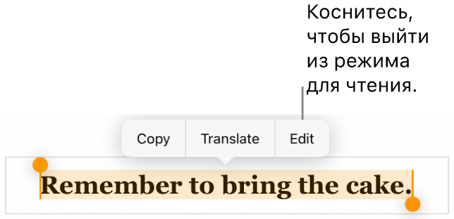 Выбрано предложение; над ним отображается контекстное меню с кнопками «Скопировать» и «Правка».