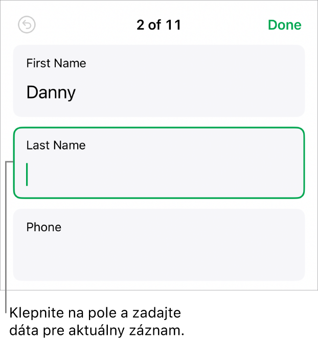 Záznam vo formulári zobrazujúci aktívne pole s kurzorom.