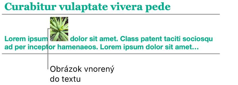 Obrázok je umiestnený ako vnorený do textu.