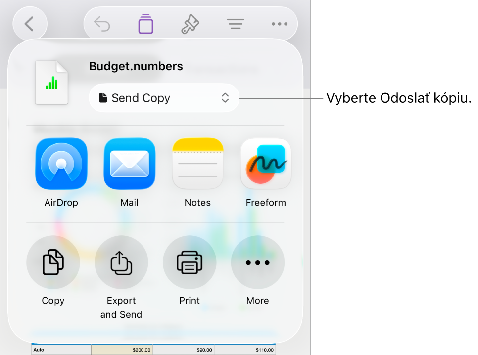 Menu Zdieľať s vybranou možnosťou Odoslať kópiu vo vrchnej časti.