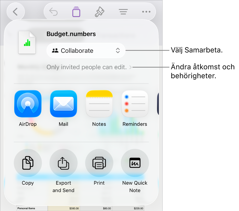 Delningsmenyn med Samarbeta markerat högst upp och tillgångs- och behörighetsinställningar under.