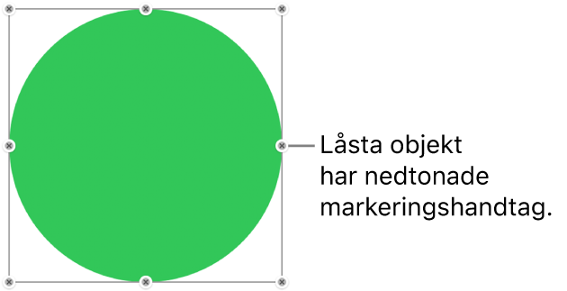 Ett låst objekt med nedtonade markeringshandtag.