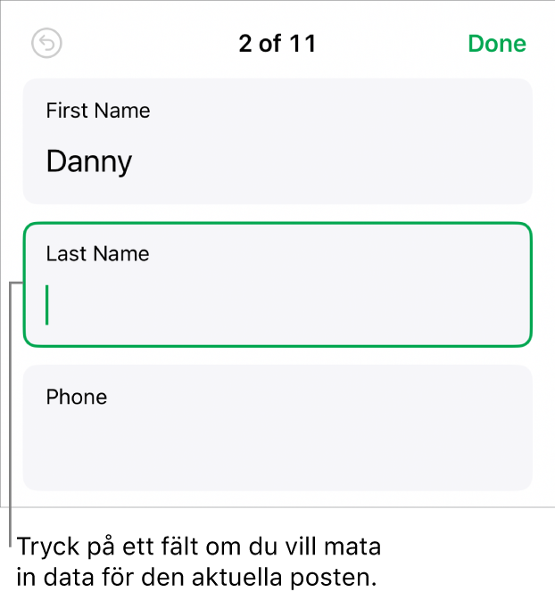 En post i ett formulär som visar ett aktivt fält med en insättningspunkt.