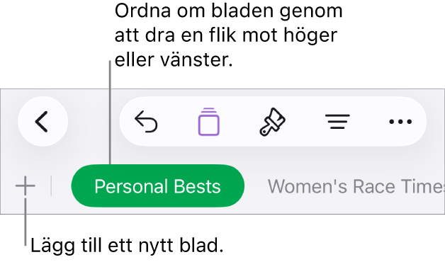 Flikfältet för att lägga till ett nytt blad, navigera, ändra ordning på och arrangera om blad.