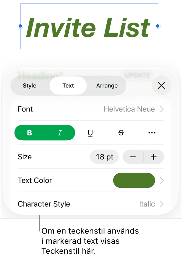 Reglagen för textformatering med Teckenstil under färgreglagen. Teckenstilen Ingen visas med en asterisk.