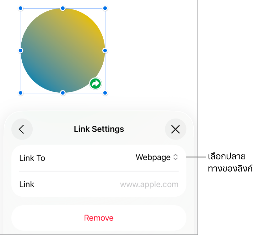 ตัวควบคุมการตั้งค่าลิงก์ที่มีหน้าเว็บถูกเลือกอยู่ และปุ่มเอาออกที่ด้านล่างสุด