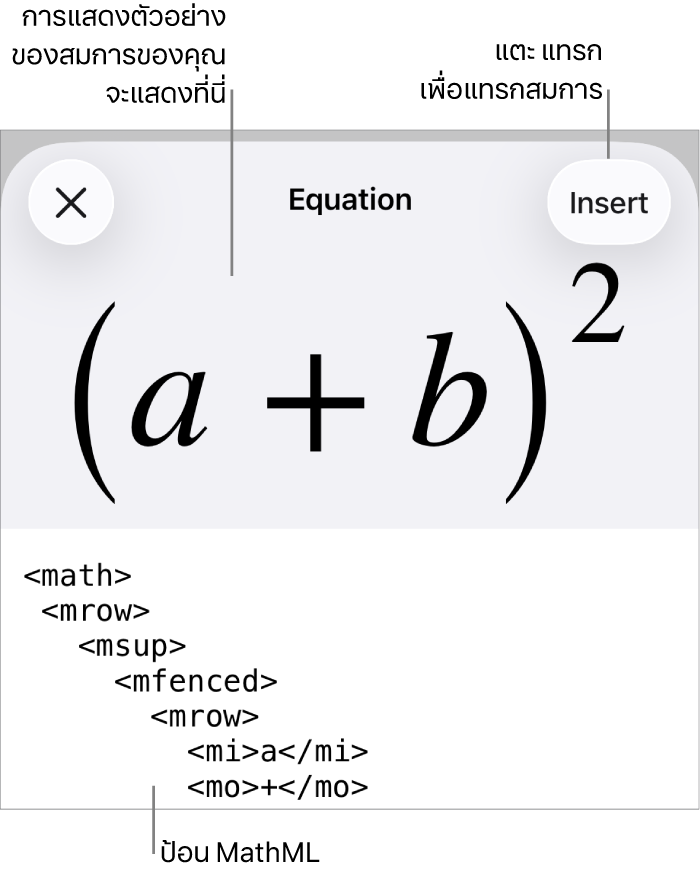 หน้าต่างโต้ตอบสมการ ที่แสดงสมการที่เขียนโดยใช้คำสั่ง MathML และการแสดงตัวอย่างของสูตรด้านบน