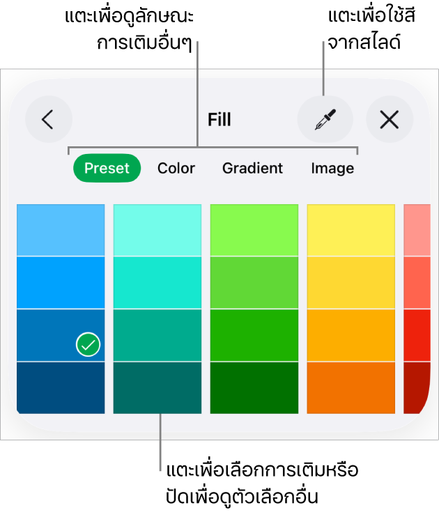 ตัวเลือกการเติมในแถบลักษณะของปุ่มรูปแบบ