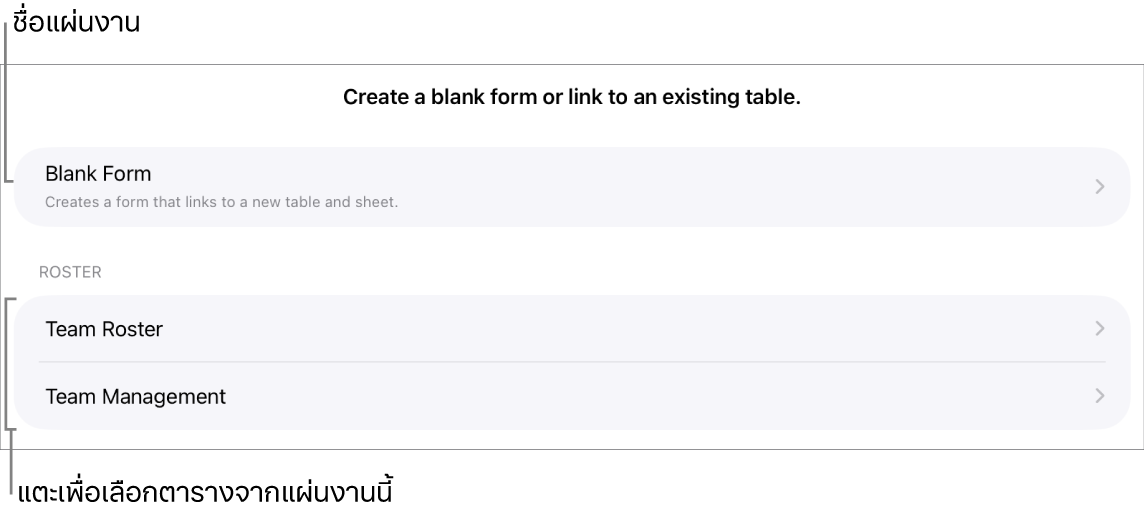 รายการของตารางที่อยู่ในสเปรดชีตเดียวกัน โดยมีตัวเลือกสำหรับสร้างแบบฟอร์มเปล่าอยู่ที่ด้านบนสุด