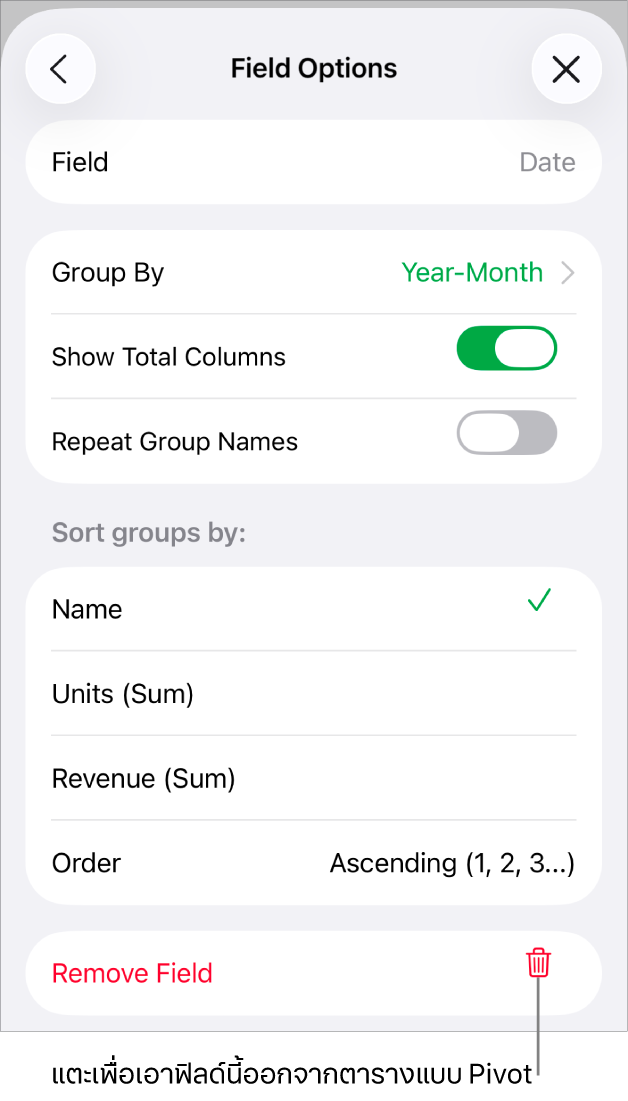 เมนูตัวเลือกฟิลด์ ที่แสดงตัวควบคุมสำหรับการจัดกลุ่มและการเรียงข้อมูล รวมถึงตัวเลือกในการเอาฟิลด์ออก