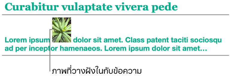 ภาพวางฝังในกับข้อความ