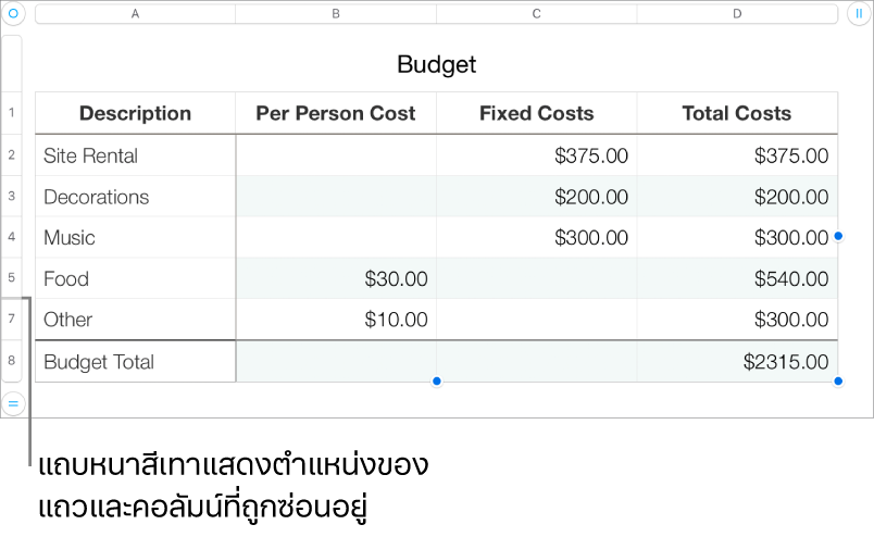 แถบหนาสีเทาที่แสดงตำแหน่งของแถวและคอลัมน์ที่ถูกซ่อนอยู่