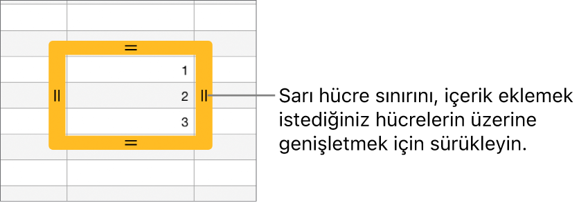 Hücreleri otomatik doldurmak için sürükleyebileceğiniz büyük sarı sınırlı seçili bir hücre.